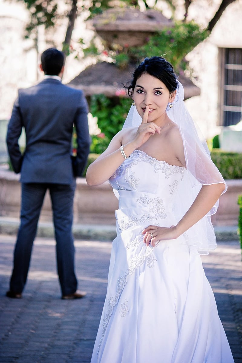Bride's Enchanted Gown