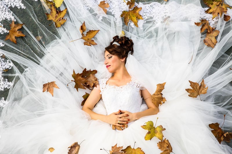 Bride's Fairy-Tale Gown